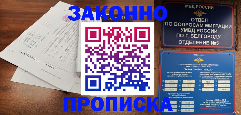 прописка в Новороссийске